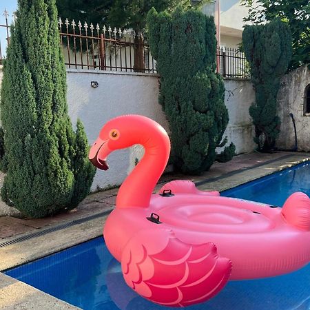 Cozy Little Holiday House Shkodër エクステリア 写真