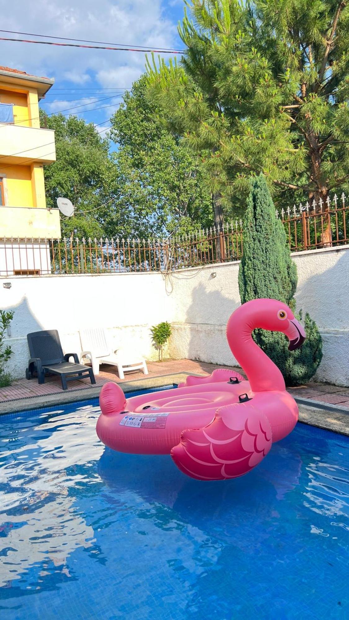 Cozy Little Holiday House Shkodër エクステリア 写真